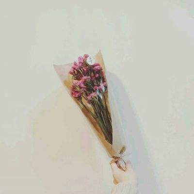 华夏免费版手游